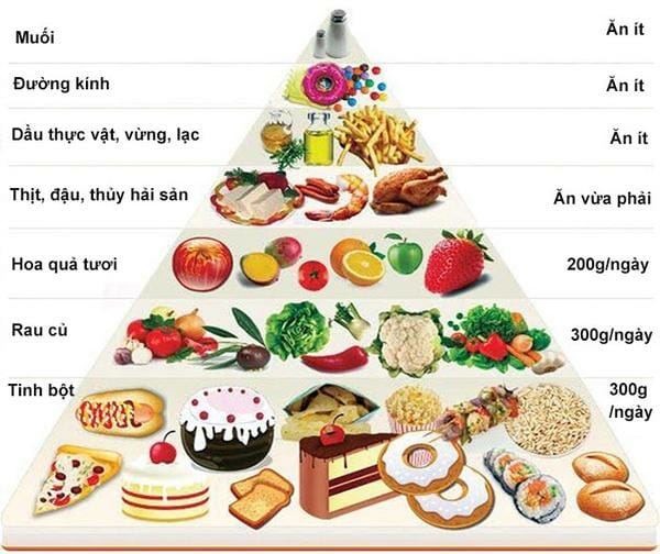 Các nhóm dinh dưỡng cần thiết cho bà bầu trong 3 tháng đầu thai kỳ